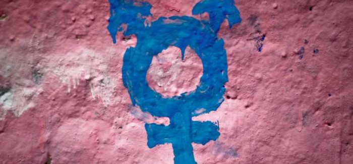Black Trans Year In Review 2013