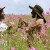 hero_EB20040328REVIEWS08403280301AR