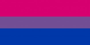 2013-09-19-bisexual-bisexual_pride_flag